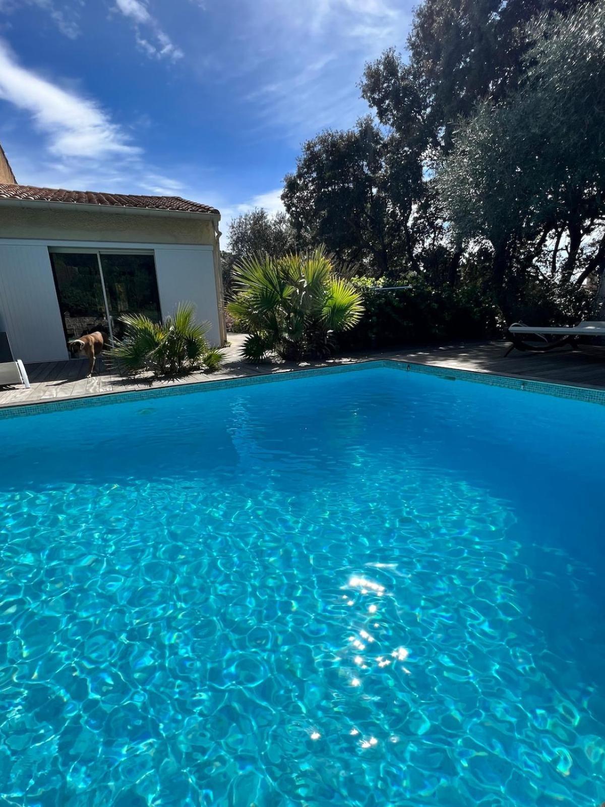 Le Havre De Paix En Garrigue 4 Chambres 3 Sdb Piscine Bezouce Екстериор снимка